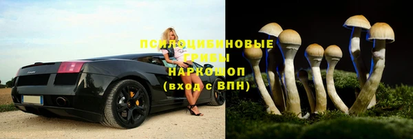 спайс Баксан