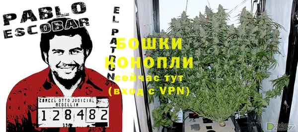 спайс Баксан