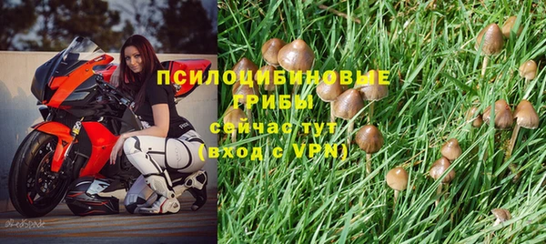 дурь Балахна