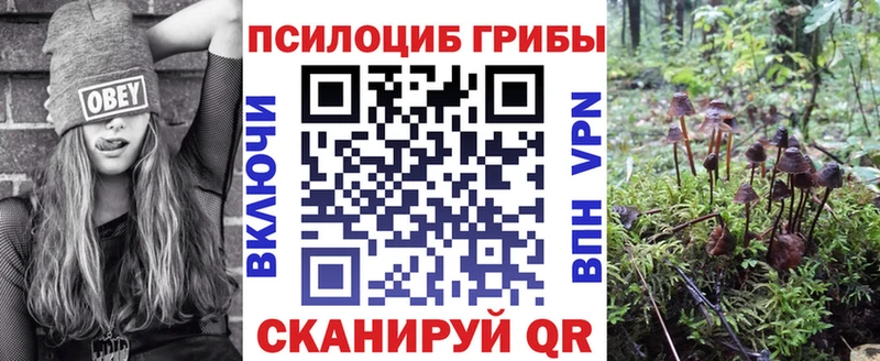 Галлюциногенные грибы MAGIC MUSHROOMS  kraken вход  Унеча 