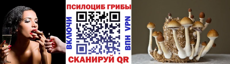 Галлюциногенные грибы ЛСД Унеча
